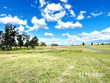 Residential Block For Sale - NSW - Inverell - 2360 - 1 Hectare Block approx 6 minute drive from CBD  (Image 2)