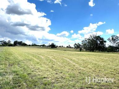 Residential Block For Sale - NSW - Inverell - 2360 - 1 Hectare Block approx 6 minute drive from CBD  (Image 2)