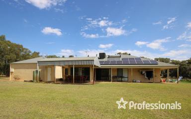 House Sold - WA - North Boyanup - 6237 - PEACEFUL LIFESTYLE IN NORTH BOYANUP  (Image 2)