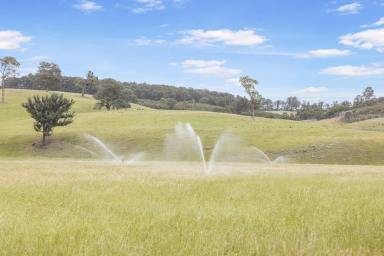 Other (Rural) For Sale - VIC - Glenaladale - 3864 - Water, livestock and history at Cambooya  (Image 2)