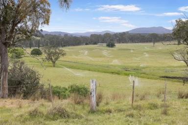 Other (Rural) For Sale - VIC - Glenaladale - 3864 - Water, livestock and history at Cambooya  (Image 2)