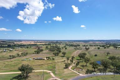 Acreage/Semi-rural For Sale - NSW - Inverell - 2360 - SERENITY & SPACE AWAIT  (Image 2)