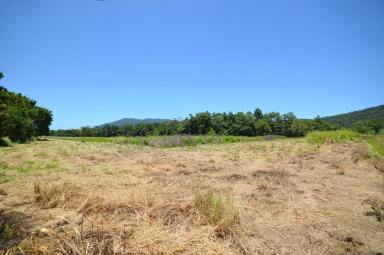 Other (Rural) For Sale - QLD - East Russell - 4861 - 78 Acres - 2 Titles - River Frontage  (Image 2)