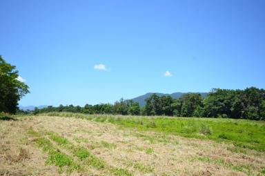 Other (Rural) For Sale - QLD - East Russell - 4861 - 78 Acres - 2 Titles - River Frontage  (Image 2)