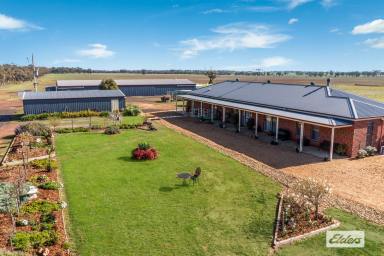 House For Sale - VIC - Kamarooka - 3570 - Exceptional Infrastructure and Immaculate Home – 35 Ac for Farming or Business  (Image 2)