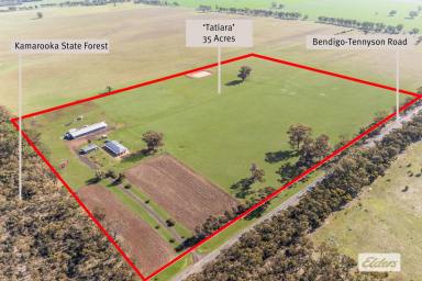 House For Sale - VIC - Kamarooka - 3570 - Exceptional Infrastructure and Immaculate Home – 35 Ac for Farming or Business  (Image 2)