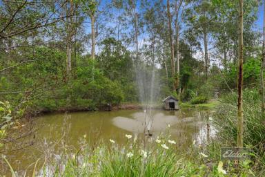 House For Sale - QLD - Glenwood - 4570 - HIDDEN GEM WITH ALL THE BELLS AND WHISTLES!  (Image 2)