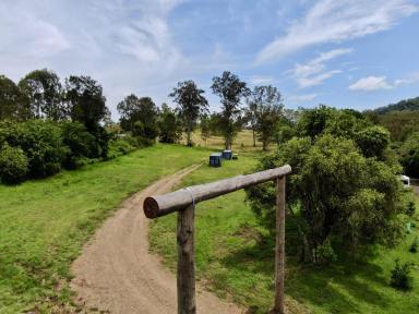 Lifestyle For Sale - NSW - Old Grevillia - 2474 - Rural Retreat  (Image 2)