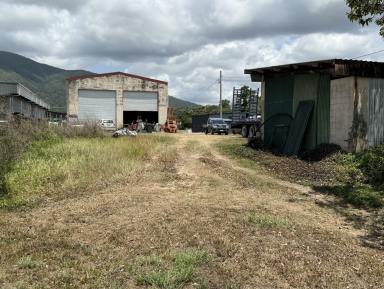 Warehouse For Sale - QLD - Tully - 4854 - House and Workshop Highway Frontage Tully  (Image 2)