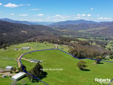 Acreage/Semi-rural For Sale - TAS - Lachlan - 7140 - Make this your dream home!  (Image 2)