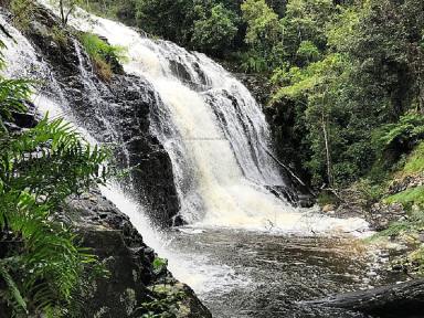 Livestock For Sale - QLD - Evelyn - 4888 - Waterfall and farm land Dream  (Image 2)