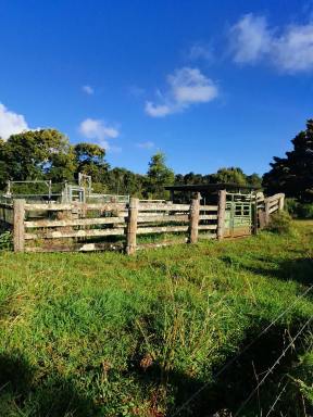 Livestock For Sale - QLD - Evelyn - 4888 - Waterfall and farm land Dream  (Image 2)