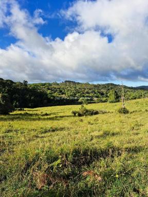 Livestock For Sale - QLD - Evelyn - 4888 - Waterfall and farm land Dream  (Image 2)