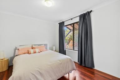 House For Sale - WA - Osborne Park - 6017 - When comfort meets convenience - Ideal for first homebuyers and investors  (Image 2)