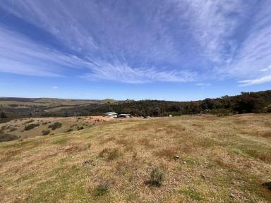 Lifestyle For Sale - NSW - Taylors Flat - 2586 - ON TOP OF THE WORLD, 340 COUNTRY ACRES, MAGICAL VIEWS, MIX OF CLEAR & BUSH, CREEK, DAMS, SHED, TRANQUIL SETTING.  (Image 2)