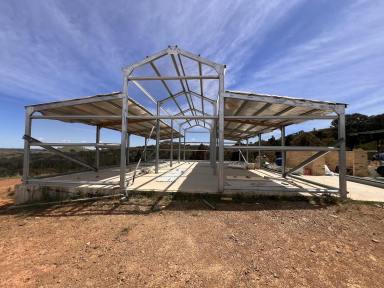 Lifestyle For Sale - NSW - Taylors Flat - 2586 - 340 ACRES, GRAZING AND LIFESTYLE, MOUNTAIN & VALLEY VIEWS, MIX OF CLEAR AND BUSH, CREEK, DAMS, AMERICAN STYLE BARN  (Image 2)