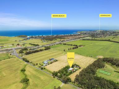 Lifestyle For Sale - NSW - Rose Valley - 2534 - ~ A Country Charmer ~  (Image 2)