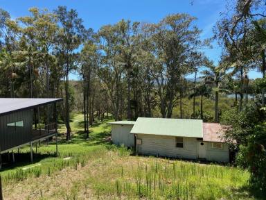 Residential Block For Sale - NSW - Toormina - 2452 - Prime Vacant Land with Boambee Creek frontage in Toormina  (Image 2)