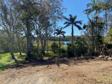 Residential Block For Sale - NSW - Toormina - 2452 - Prime Vacant Land with Boambee Creek frontage in Toormina (Image 2)