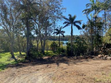 Residential Block For Sale - NSW - Toormina - 2452 - Prime Vacant Land with Boambee Creek frontage in Toormina  (Image 2)