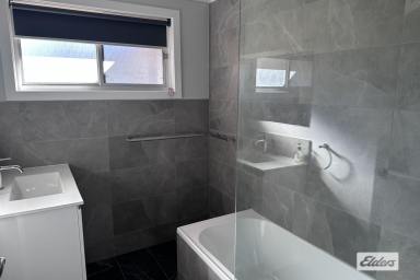 House For Lease - NSW - Taree - 2430 - Walk To Taree West School, Renovated home  (Image 2)