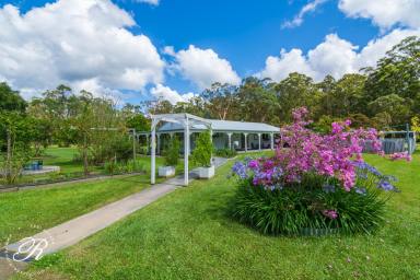 Acreage/Semi-rural For Sale - NSW - Bulahdelah - 2423 - Perfectly Presented 5 Acres – Move-In Ready with Nothing Left to Do  (Image 2)