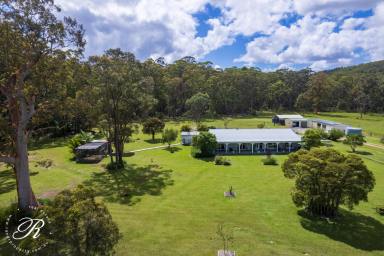 Acreage/Semi-rural For Sale - NSW - Bulahdelah - 2423 - Perfectly Presented 5 Acres – Move-In Ready with Nothing Left to Do  (Image 2)