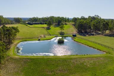 Lifestyle For Sale - NSW - Cobbitty - 2570 - Celbridge Farm - Elite Rural Lifestyle and Thoroughbred Complex on 87* acres  (Image 2)