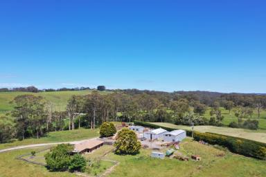 House For Sale - TAS - Smithton - 7330 - Family Home with River Reserve Boundary on 9.85 acres and 2 Huge Machinery Sheds.  (Image 2)