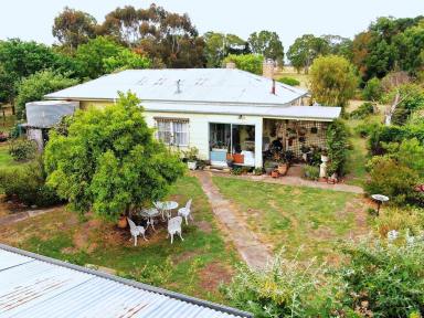 Lifestyle For Sale - VIC - Cavendish - 3314 - Ripper Home on 10 Acres - Cavendish  (Image 2)