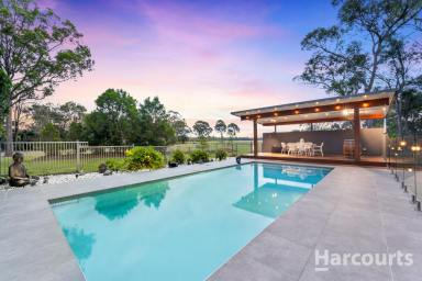 House For Sale - QLD - Oakhurst - 4650 - Lifestyle Change at Its Finest  (Image 2)