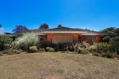 House For Sale - NSW - Temora - 2666 - Solid and Spacious!  (Image 2)