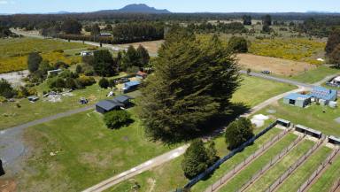 Residential Block For Sale - TAS - Waratah - 7321 - Wonderful Waratah  (Image 2)