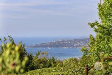 House For Sale - VIC - Arthurs Seat - 3936 - "Moondai" Architectural Brilliance, Botanical Beauty, Incredible Views  (Image 2)