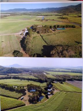 Mixed Farming For Sale - QLD - Eton - 4741 - Headline Goes Here  (Image 2)