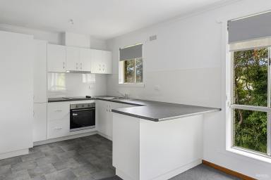 Unit For Lease - TAS - Burnie - 7320 - 2 Bedroom unit  (Image 2)