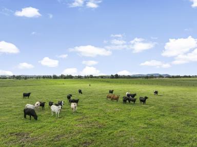 Acreage/Semi-rural Auction - NSW - Woodville - 2321 - Enviable Rural Living in a Dress Circle Location  (Image 2)