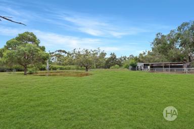 Acreage/Semi-rural For Sale - VIC - Cranbourne South - 3977 - The Perfect Package For Country Life  (Image 2)