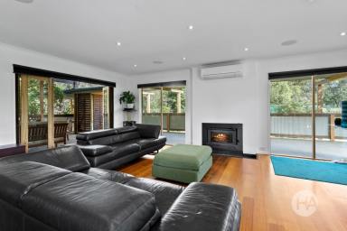 Acreage/Semi-rural For Sale - VIC - Cranbourne South - 3977 - The Perfect Package For Country Life  (Image 2)