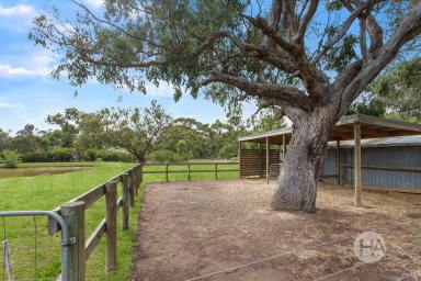 Acreage/Semi-rural For Sale - VIC - Cranbourne South - 3977 - The Perfect Package For Country Life  (Image 2)