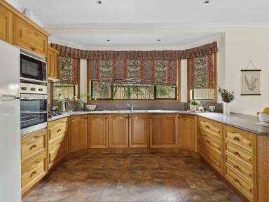 House Sold - VIC - Seymour - 3660 - Great Family Home in Seymour  (Image 2)
