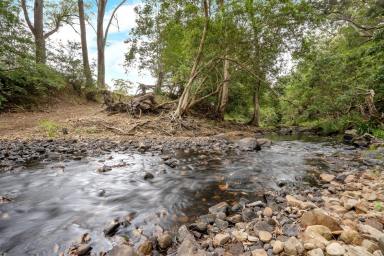 Other (Rural) Auction - NSW - Stroud - 2425 - Productive Hunter Valley Creek Flat Grazing  (Image 2)