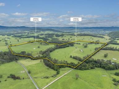 Other (Rural) Auction - NSW - Stroud - 2425 - Productive Hunter Valley Creek Flat Grazing  (Image 2)