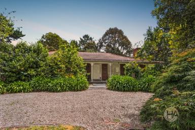 Acreage/Semi-rural For Sale - VIC - Hastings - 3915 - Home Among The Gum Trees  (Image 2)