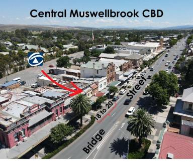 Office(s) For Sale - NSW - Muswellbrook - 2333 - MIXED COMMERCIAL PREMISES WITH OFFICE BUSINESS SUITE AND RESIDENTIAL FLATS  (Image 2)
