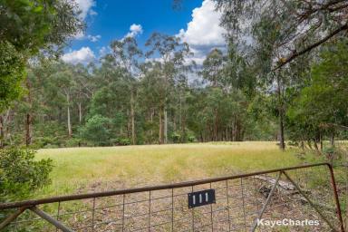 Residential Block For Sale - VIC - Dewhurst - 3808 - Stake Your Claim  (Image 2)