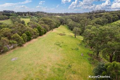 Residential Block For Sale - VIC - Dewhurst - 3808 - Stake Your Claim  (Image 2)