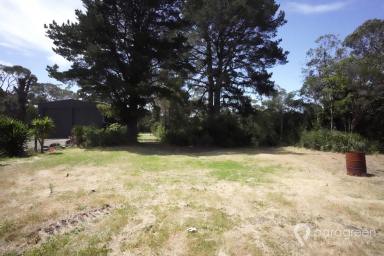 Residential Block For Sale - VIC - Port Welshpool - 3965 - PEACEFUL LARGE BLOCK  (Image 2)