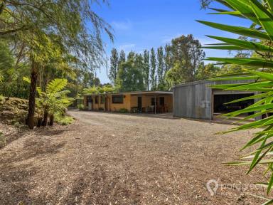 House For Sale - VIC - Foster - 3960 - SURROUNDED BY NATURE 1KM FROM THE TOWN CENTRE  (Image 2)