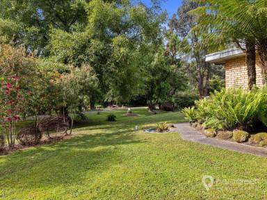 House For Sale - VIC - Foster - 3960 - SURROUNDED BY NATURE 1KM FROM THE TOWN CENTRE  (Image 2)